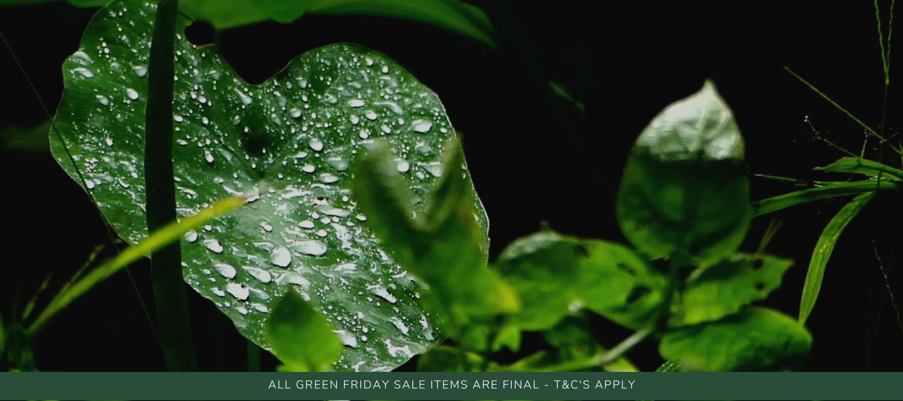 A 'Green' Friday Sale With Up to 40% Off - Synthesis Organics