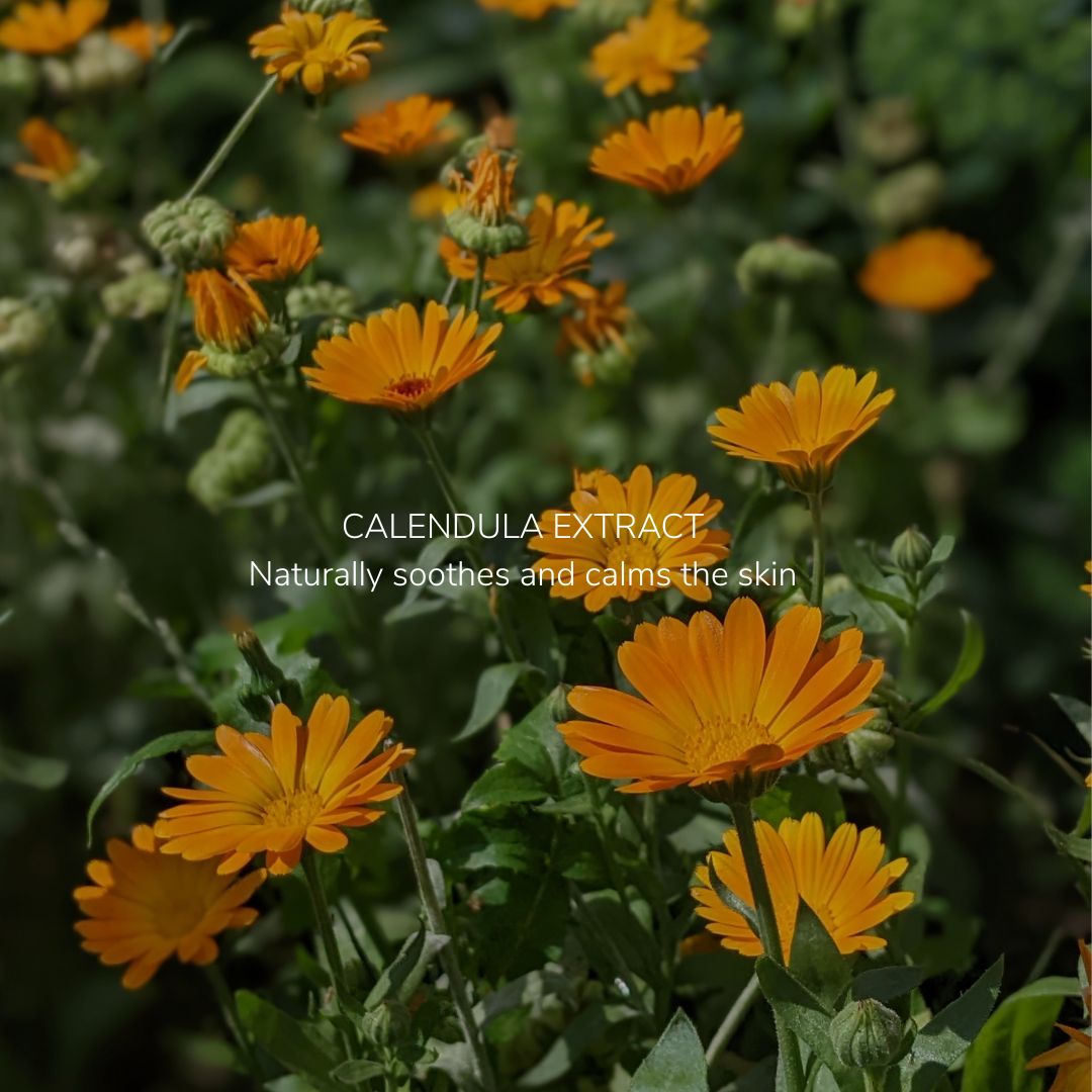 Rest & Restore Liposomal Magnesium Spray *limited edition with solar infused Calendula from our Farm - 100ml - Synthesis Organics