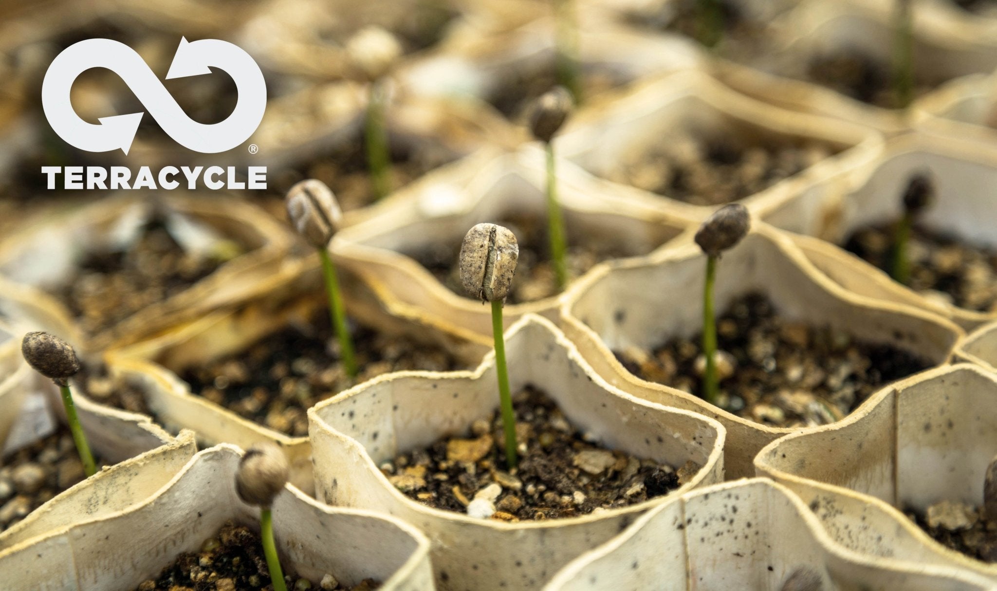 100% Recyclable Packaging - Let's Show You How - Synthesis Organics