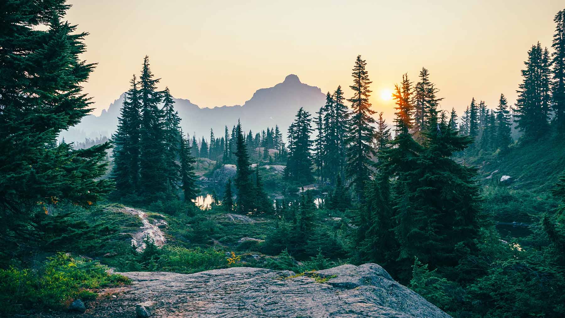 5 science-backed ways you can reconnect with nature to  Restore Our Earth™ - Synthesis Organics