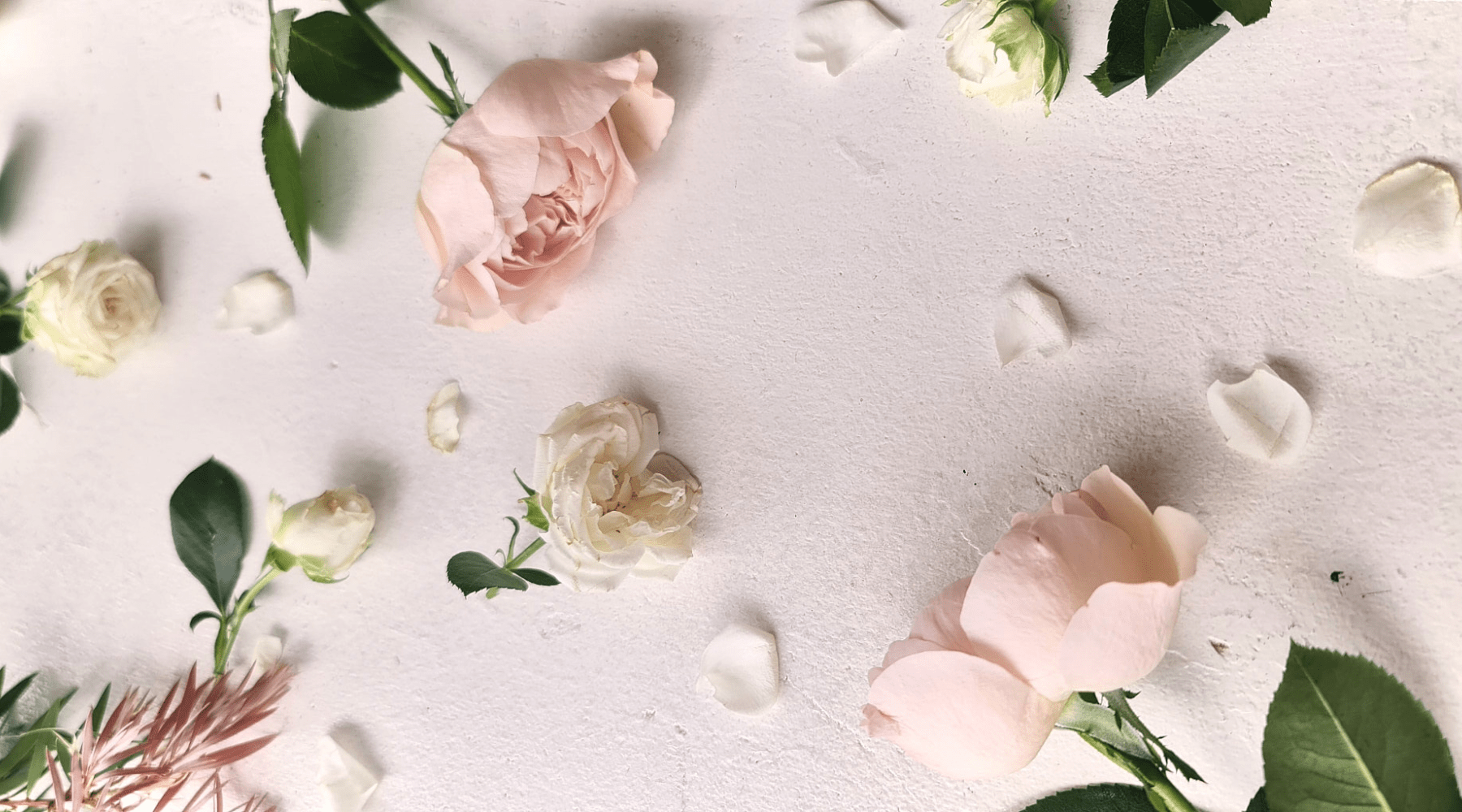 Bloom into Self Love Ritual - Synthesis Organics