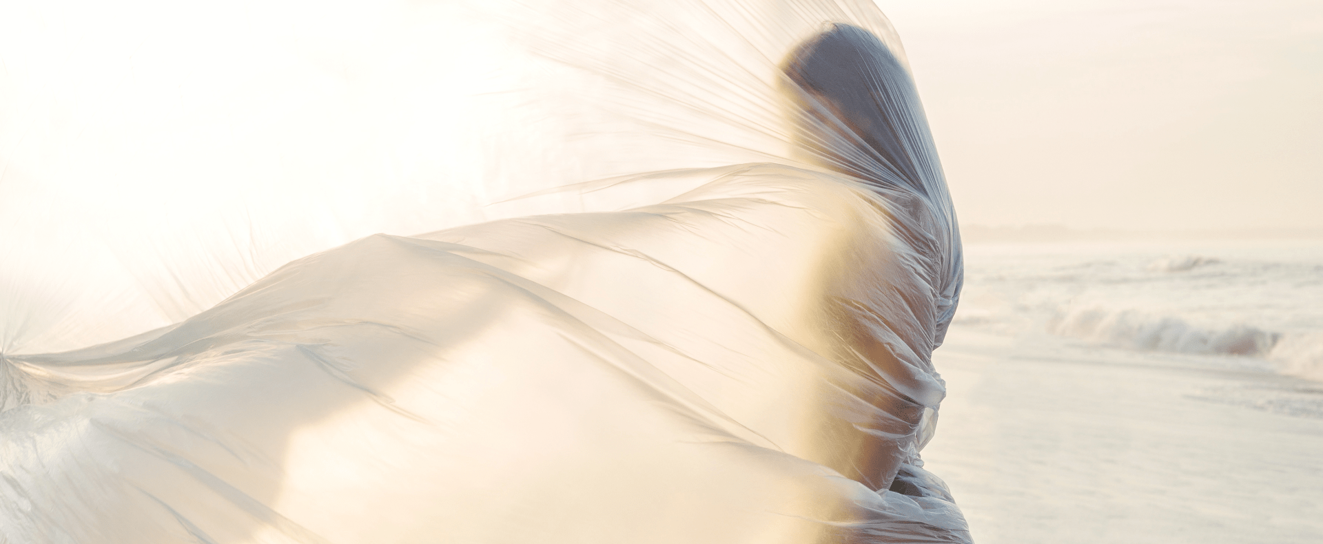 Friend of Sunlighten Q&A: Synthesis Organics founder Theme Rains - Synthesis Organics
