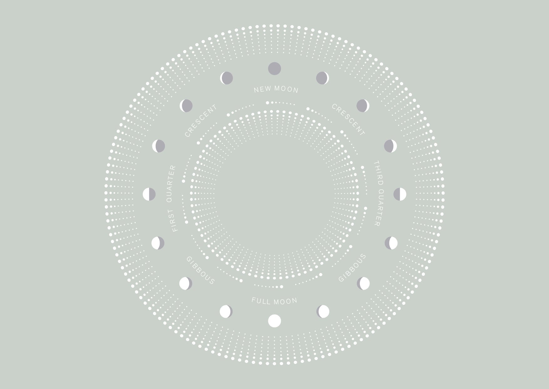 Lunar Phases 2023 - Synthesis Organics
