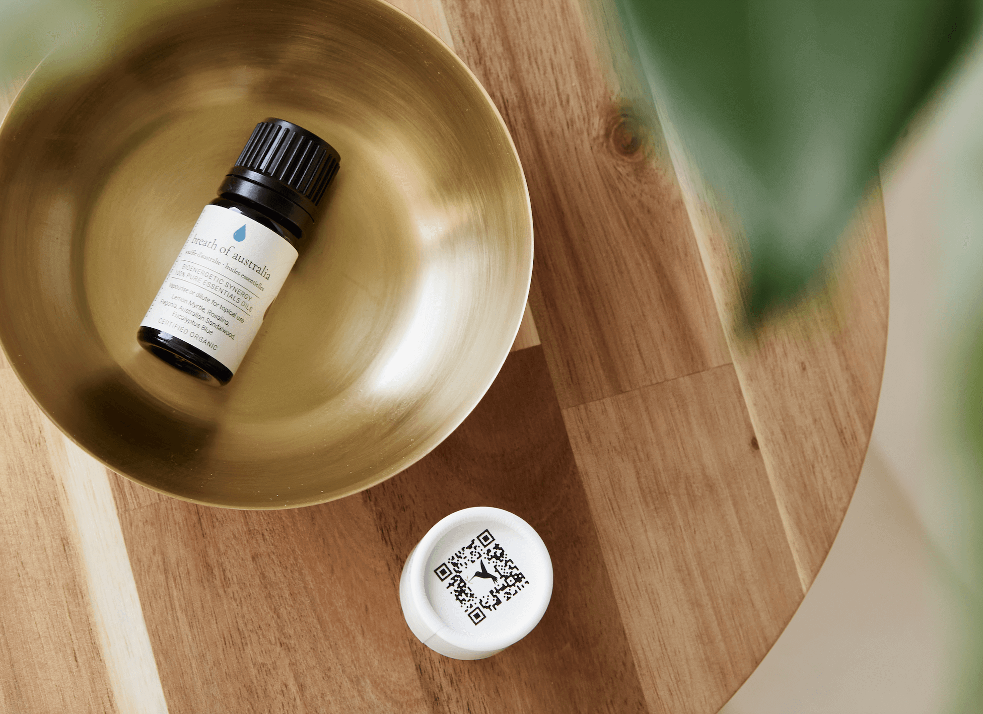 Synthesis Organics adopts traceability tool Storybird to shine a light on its product origin story - Synthesis Organics