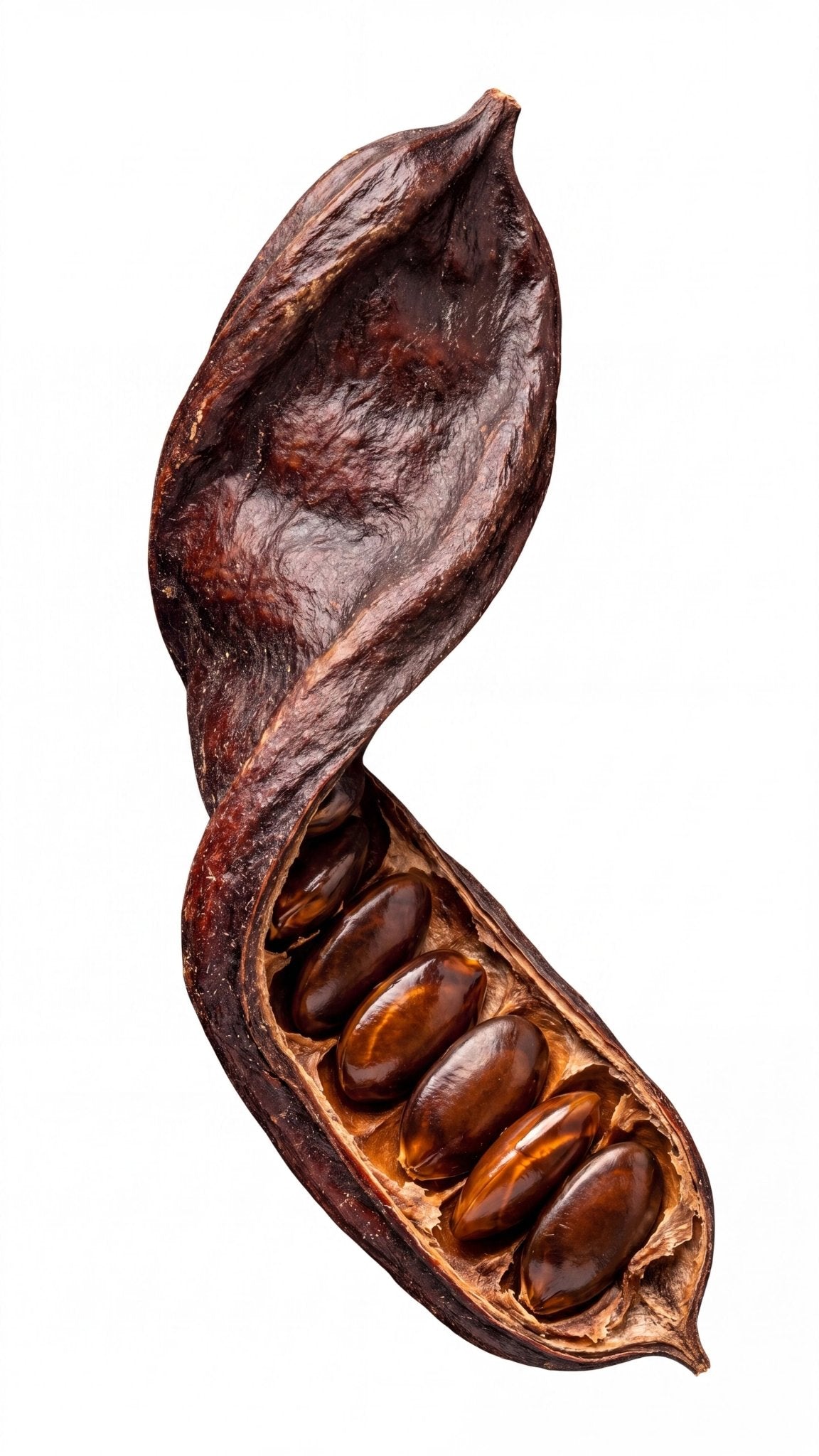 Honey Locust Seeds Skincare - Synthesis Organics