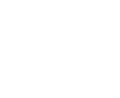 Vegan
