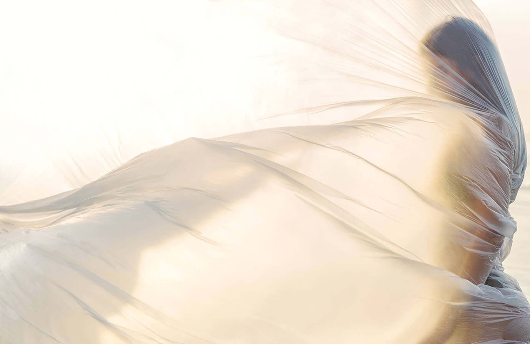 Radiant Glow Collection - Synthesis Organics