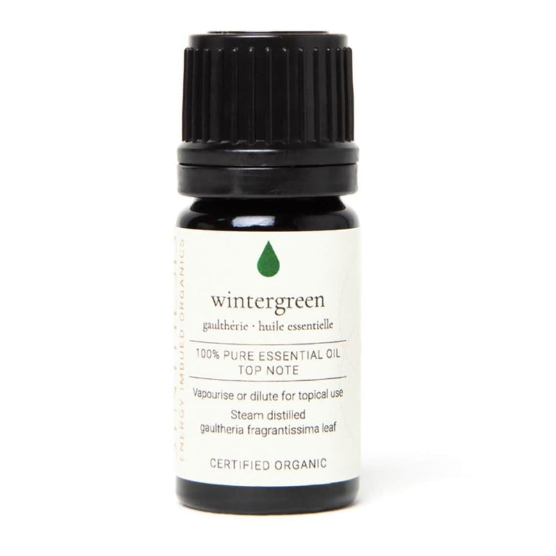 Wintergreen Certified Organic Essential Oil aroma Synthesis Organics